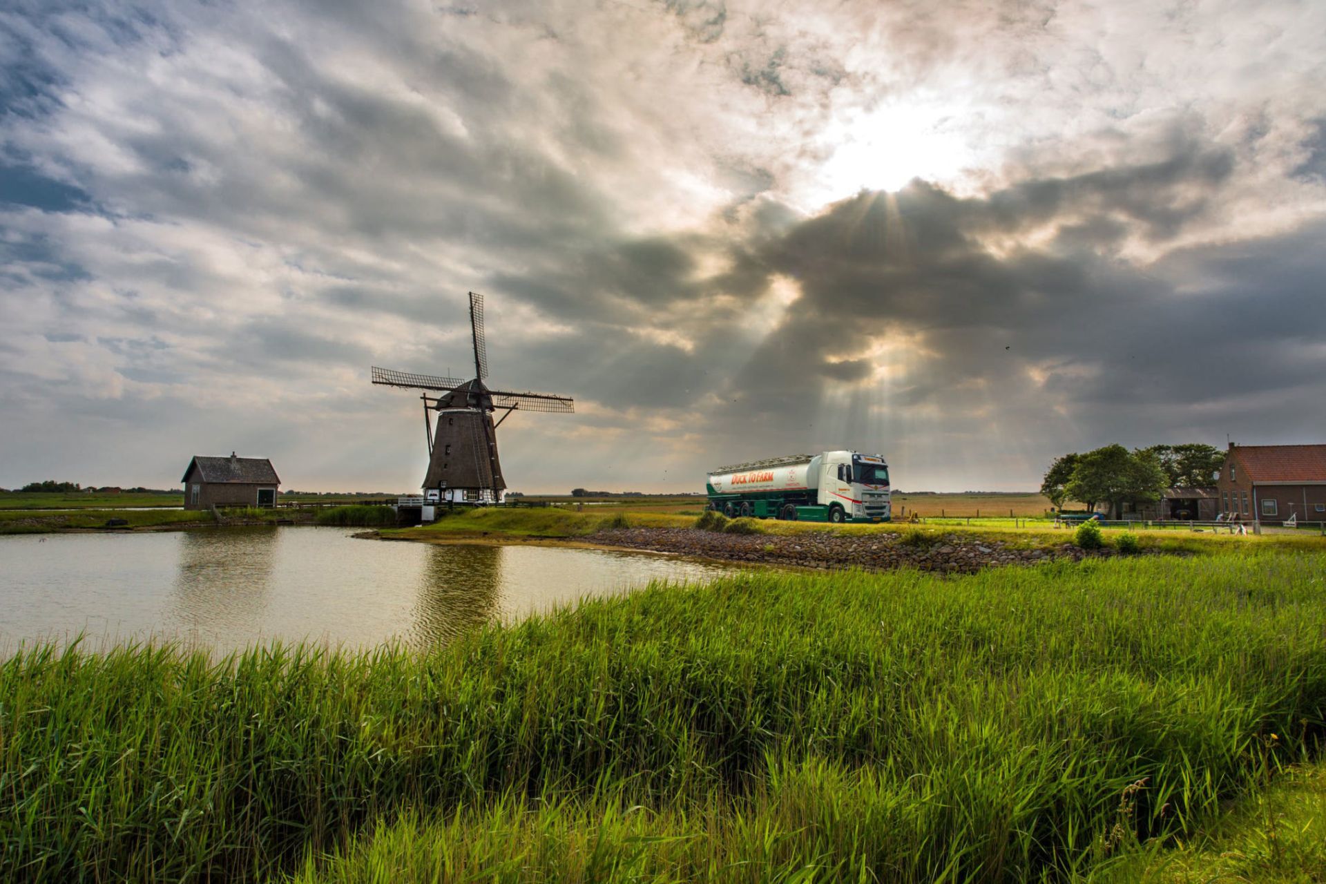 Br-tomassen-in-nederlands-landschap